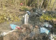 泰国飞机失事:一架载着一家人的飞机在森林中坠毁，7人死亡